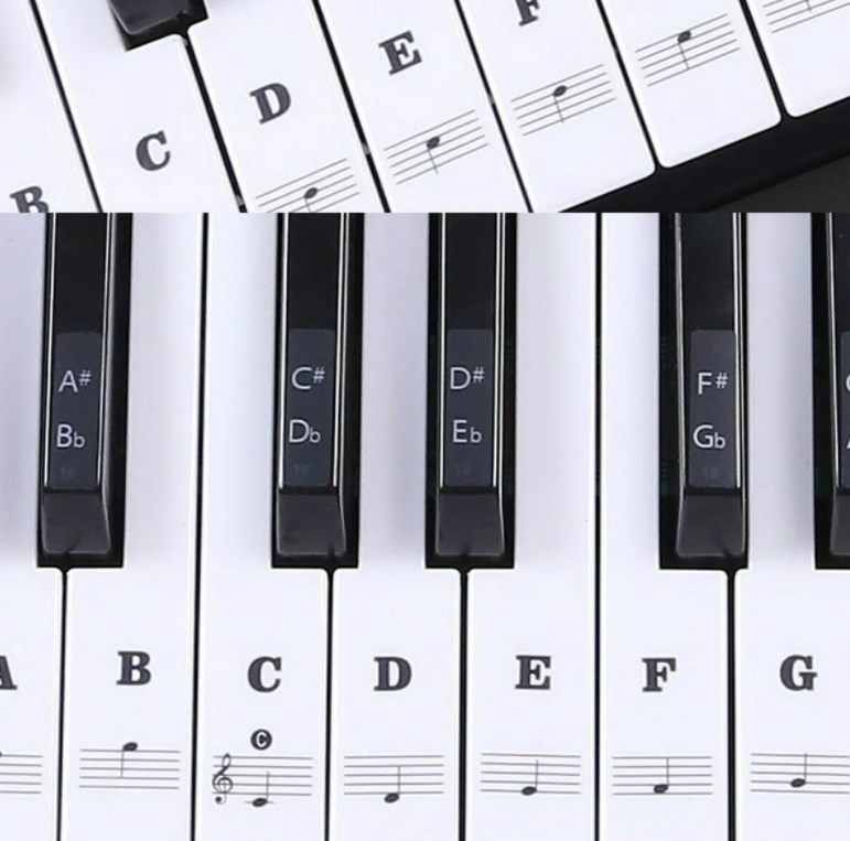 Клавишные инструменты (пианино, синтезаторы), фотография