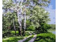 Картины но номерам Белая береза, фотография